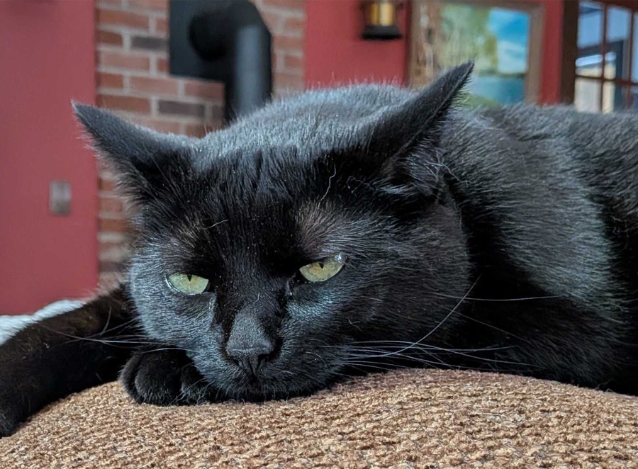 Bean, Office Manager/HR